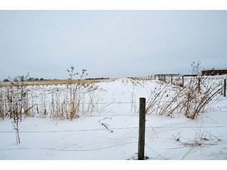 Property photo 21 - AUCTION, 206 Contiguous Acres offered in 5 Tracts